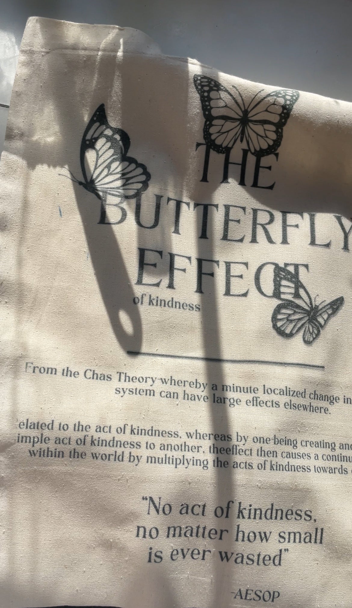 Butterfly Effect of Kindness