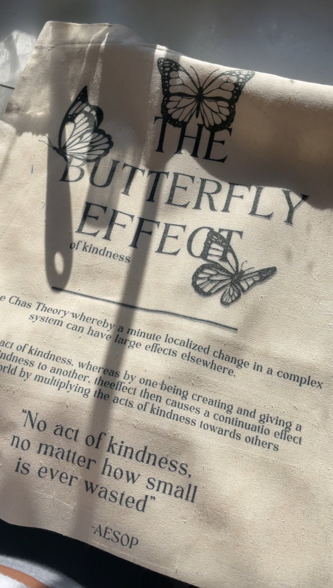 Butterfly Effect of Kindness